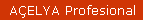 PROFESYONEL